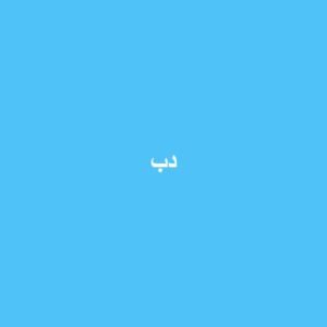 دب محشو ناعم